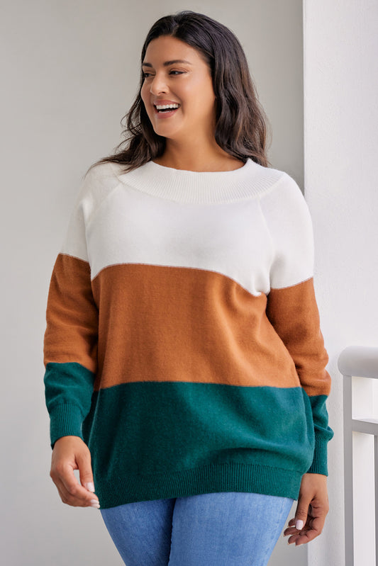 Color Fusion Sweater